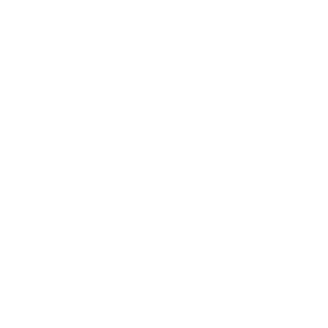 Welfin logo - FastRetail client